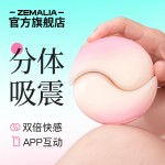 枕木恋抱悦 ZEMALIA抱悦